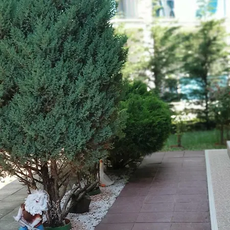 بيت ضيافة Arrina 4*
